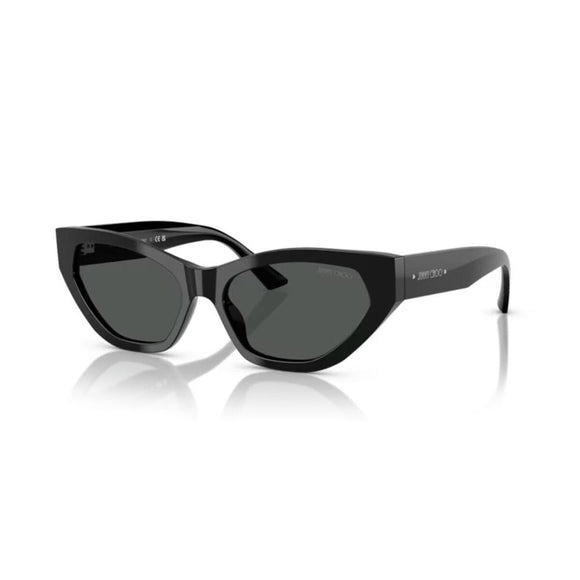 Ladies' Sunglasses Jimmy Choo JC 5022B-0