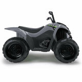 Electric Quad Injusa Kawasaki Grey 90,5 x 56 x 61,3 cm-4