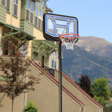 Basketball Basket Lifetime 110 x 305 x 159 cm-1