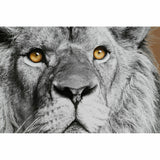 Painting DKD Home Decor Crystal polystyrene 67 x 3 x 93 cm (3 Pieces)-2