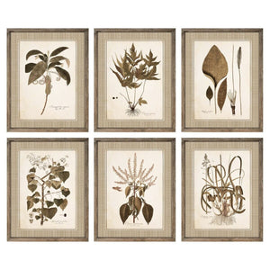 Painting DKD Home Decor 55 x 2,5 x 70 cm Modern Botanical plants (6 Pieces)-0