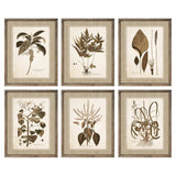 Painting DKD Home Decor 55 x 2,5 x 70 cm Modern Botanical plants (6 Pieces)-0