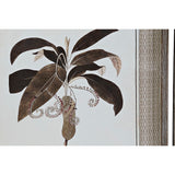 Painting DKD Home Decor 55 x 2,5 x 70 cm Modern Botanical plants (6 Pieces)-1