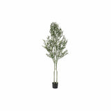 Tree DKD Home Decor 80 x 80 x 180 cm polypropylene Olive tree (80 x 80 x 180 cm)-0