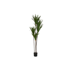 Decorative Plant DKD Home Decor (80 x 80 x 180 cm)-0