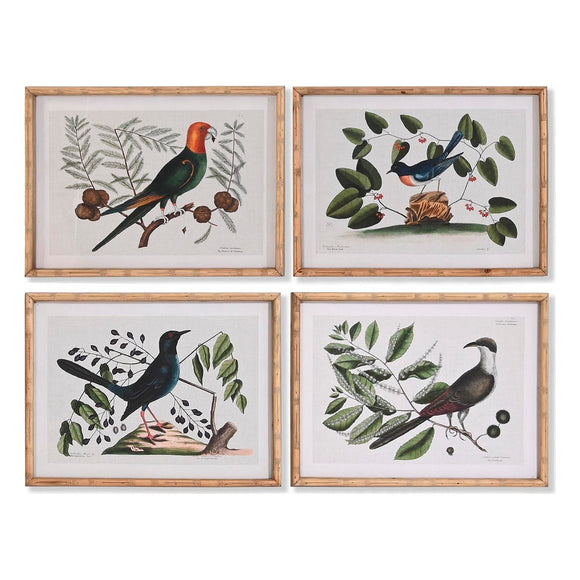 Painting DKD Home Decor Crystal Birds 65 x 16,5 x 50,2 cm (4 Pieces)-0