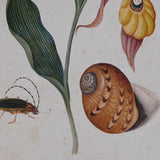 Painting DKD Home Decor Crystal Fir 50 x 65 x 2,5 cm 50 x 2,5 x 65 cm 50 x 2,5 x 70 cm-1