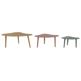 Set of 3 tables DKD Home Decor Multicolour 100 x 60 x 41 cm-2