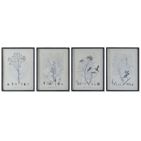 Painting DKD Home Decor Modern Botanical plants 45 x 2,5 x 60 cm (4 Units)-0