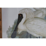 Painting DKD Home Decor Birds Oriental 45 x 3 x 60 cm (4 Units)-2