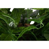 Tree Home ESPRIT Polyester Wood 100 x 100 x 185 cm-4