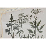 Painting Home ESPRIT Shabby Chic Botanical plants 40 x 1,5 x 50 cm (6 Units)-2