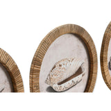 Painting Home ESPRIT Natural Mediterranean Snail 30 x 2 x 30 cm (9Units)-3