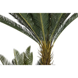Decorative Plant Home ESPRIT Polyethylene Tropical 80 x 80 x 170 cm-3