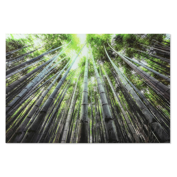 Painting Home ESPRIT Tempered Glass 150 x 0,4 x 100 cm-0