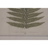 Painting Home ESPRIT Bamboo Crystal 40 x 2,5 x 50 cm (9Units)-2