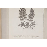 Painting Home ESPRIT Crystal Fir 30 x 2,5 x 40 cm (9Units)-2