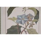 Painting Home ESPRIT Crystal Fir 30 x 2,5 x 40 cm (6 Units)-2