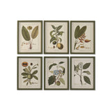 Painting Home ESPRIT Crystal Fir 30 x 2,5 x 40 cm (6 Units)-0