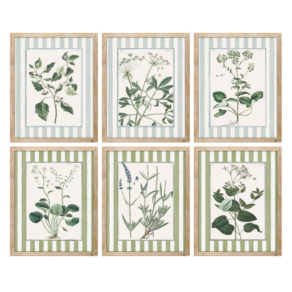 Painting Home ESPRIT White Green Shabby Chic Botanical plants 30 x 2,5 x 40 cm (6 Units)-0