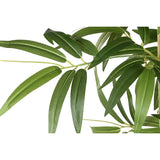 Decorative Plant Home ESPRIT Wood Bamboo Polyethylene Oriental-3