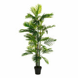 Decorative Plant Green PVC 170 cm Palm tree-0