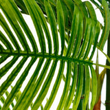 Decorative Plant Green PVC 170 cm Palm tree-2