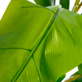 Decorative Plant 103 x 95 x 200 cm Green PVC Banana plant-1