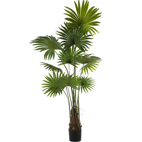 Decorative Plant Alexandra House Living Plastic Palm tree 180 cm-0