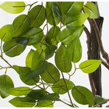 Decorative Plant Alexandra House Living Plastic Fig Tree 18 x 22 x 162 cm-1