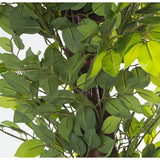 Decorative Plant Alexandra House Living Plastic Fig Tree 16 x 16 x 162 cm-2