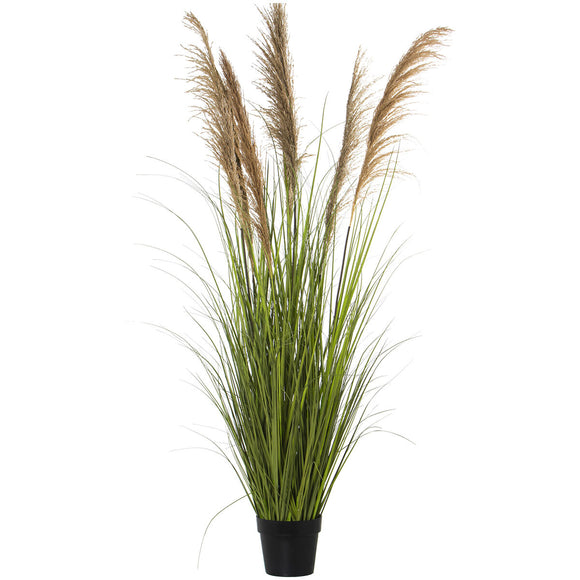 Decorative Plant Alexandra House Living Plastic 173 cm-0