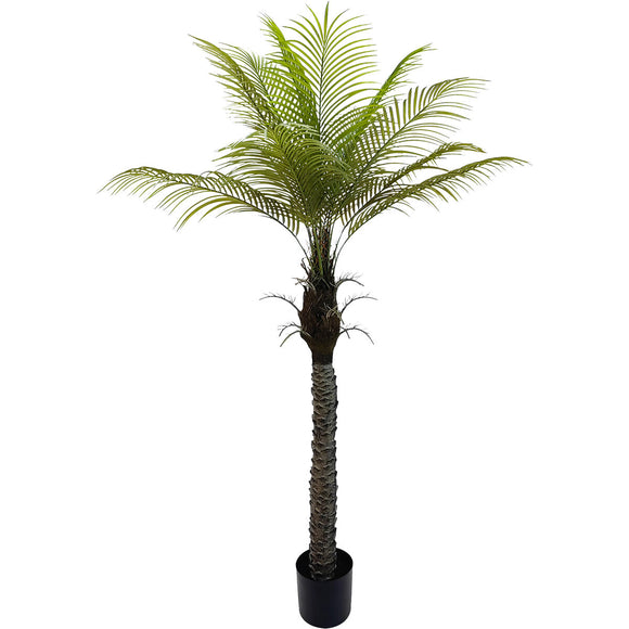 Decorative Plant Alexandra House Living Plastic Palm tree 180 cm-0
