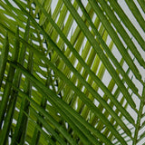 Decorative Plant Alexandra House Living Plastic Palm tree 180 cm-3