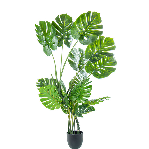 Decorative Plant Alexandra House Living Plastic Monstera 150 cm-0