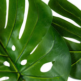 Decorative Plant Alexandra House Living Plastic Monstera 150 cm-5