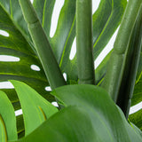 Decorative Plant Alexandra House Living Plastic Monstera 150 cm-4