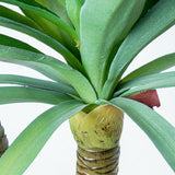 Decorative Plant Alexandra House Living Plastic Yucca 120 cm-4