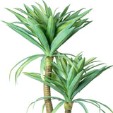 Decorative Plant Alexandra House Living Plastic Yucca 120 cm-3