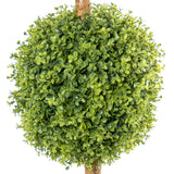 Decorative Plant Alexandra House Living Plastic 165 cm-2