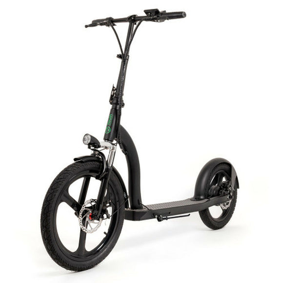 Electric Scooter Youin YOUIN SCOOTER ELECTRIC 2XL Black 350 W-0