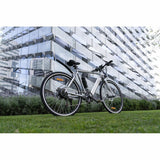 Electric Bike Youin BK1500 NEW YORK 29" 250W-1