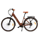 Electric Bike Youin YOURIDE VIENA Coffee 250 W 28"-0