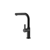 Mixer Tap Teka Black-1