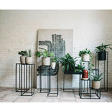 Planter with stand Alexandra House Living Black Metal 51 x 24 x 65 cm-2