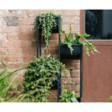 Planter with stand Alexandra House Living Black Metal Plastic 100 x 29 x 33 cm-2