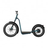 Electric Scooter Cecotec Bicinete Fat 1300 W-1