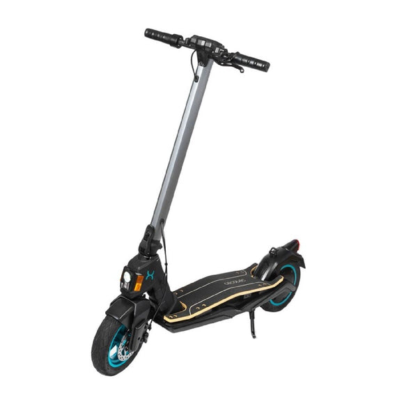 Electric Scooter Cecotec 07304 750 W 350 W 25 km/h Black-0