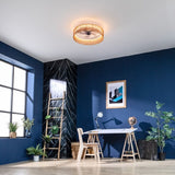 Ceiling Fan with Light Cecotec EnergySilence LampAero 600 20 W 45 W-2