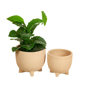 Set of Planters Romimex White Beige Legs (2 Pieces)-0